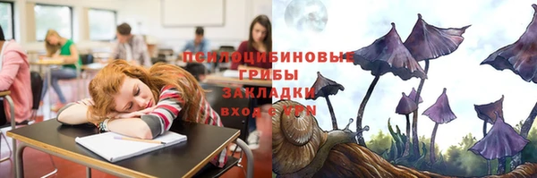 jwh Абаза
