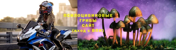 jwh Абаза