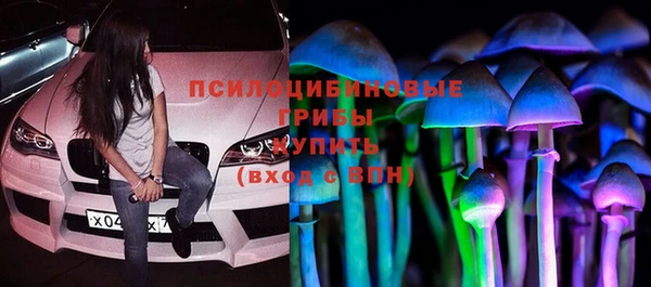 прущие грибы Абдулино