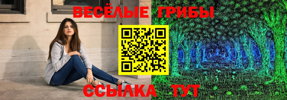 Псилоцибиновые грибы Cubensis Абинск