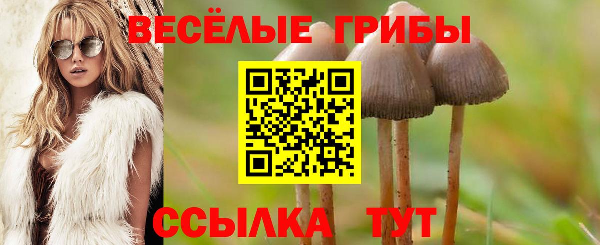 Абинск  Галлюциногенные грибы мицелий  Вход с VPN 